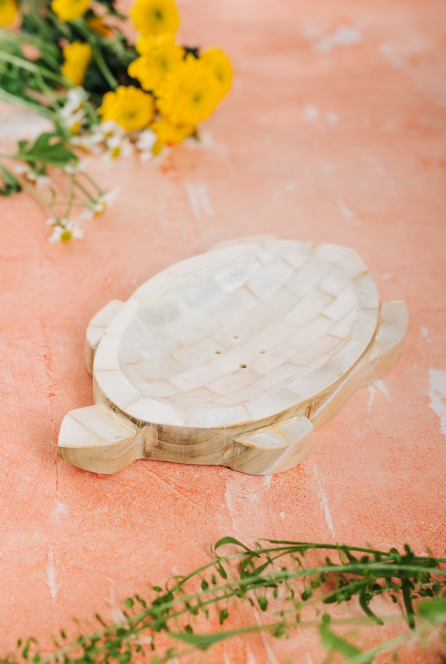 Jabonera/Plato para baratijas con concha y tortuga de madera - Nácar