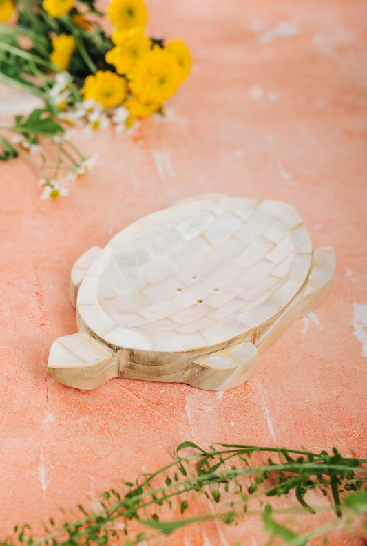 Shell & Wooden Turtle Soap/Trinket Dish - Mother of Pearl