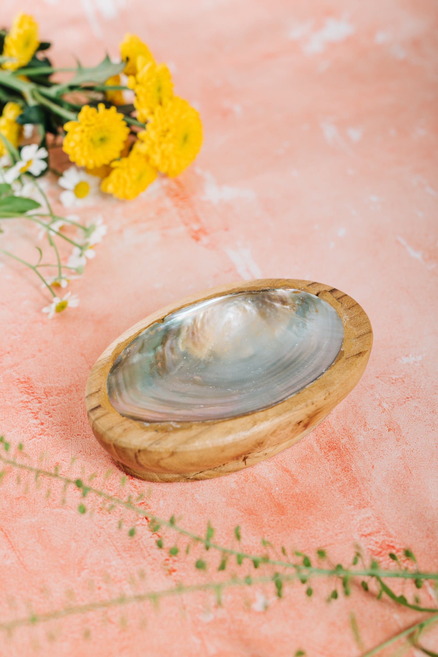 Jabonera/Plato para abalorios de concha y madera - Nácar