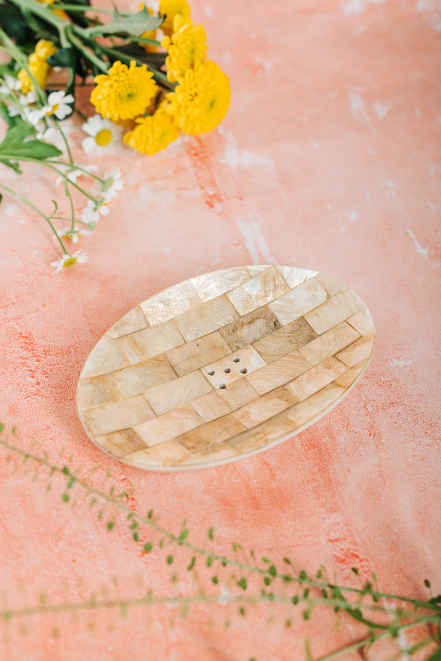 Oval Shell Soap/Trinket Dish