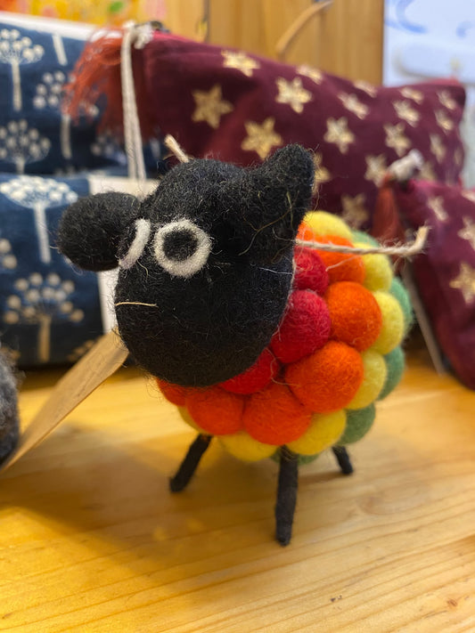 Ricky the rainbow sheep