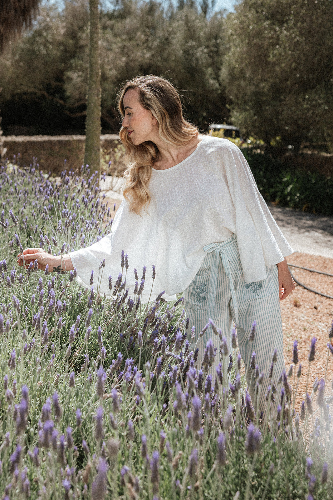 Angel Poncho