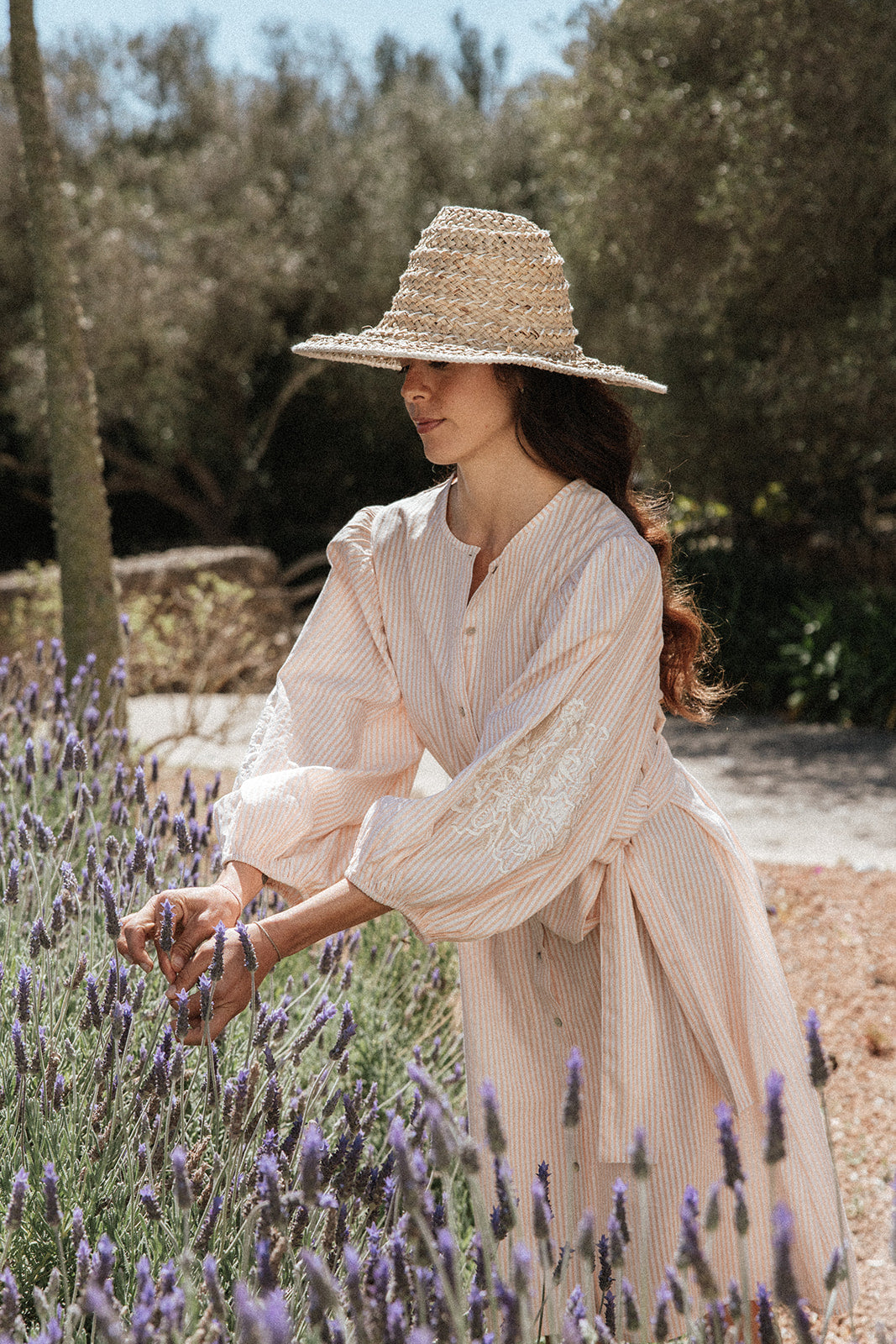 Bella Shirt Dress - Stripe
