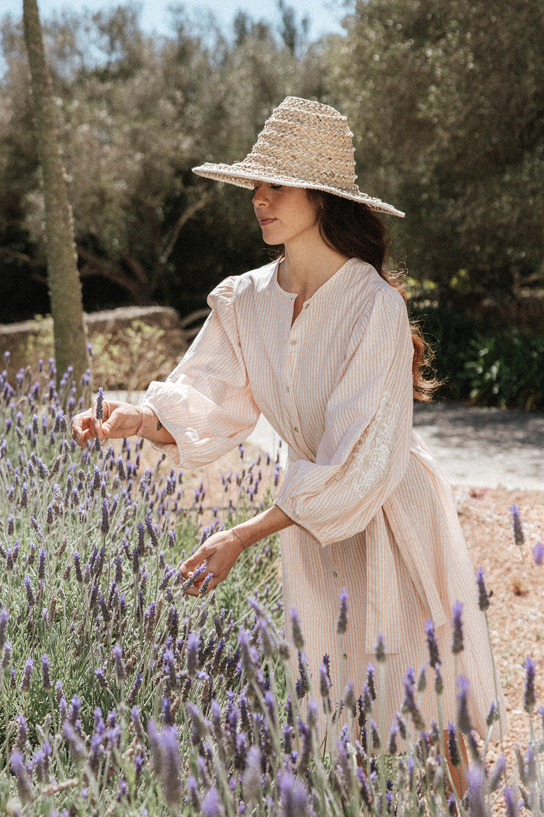 Bella Shirt Dress - Stripe