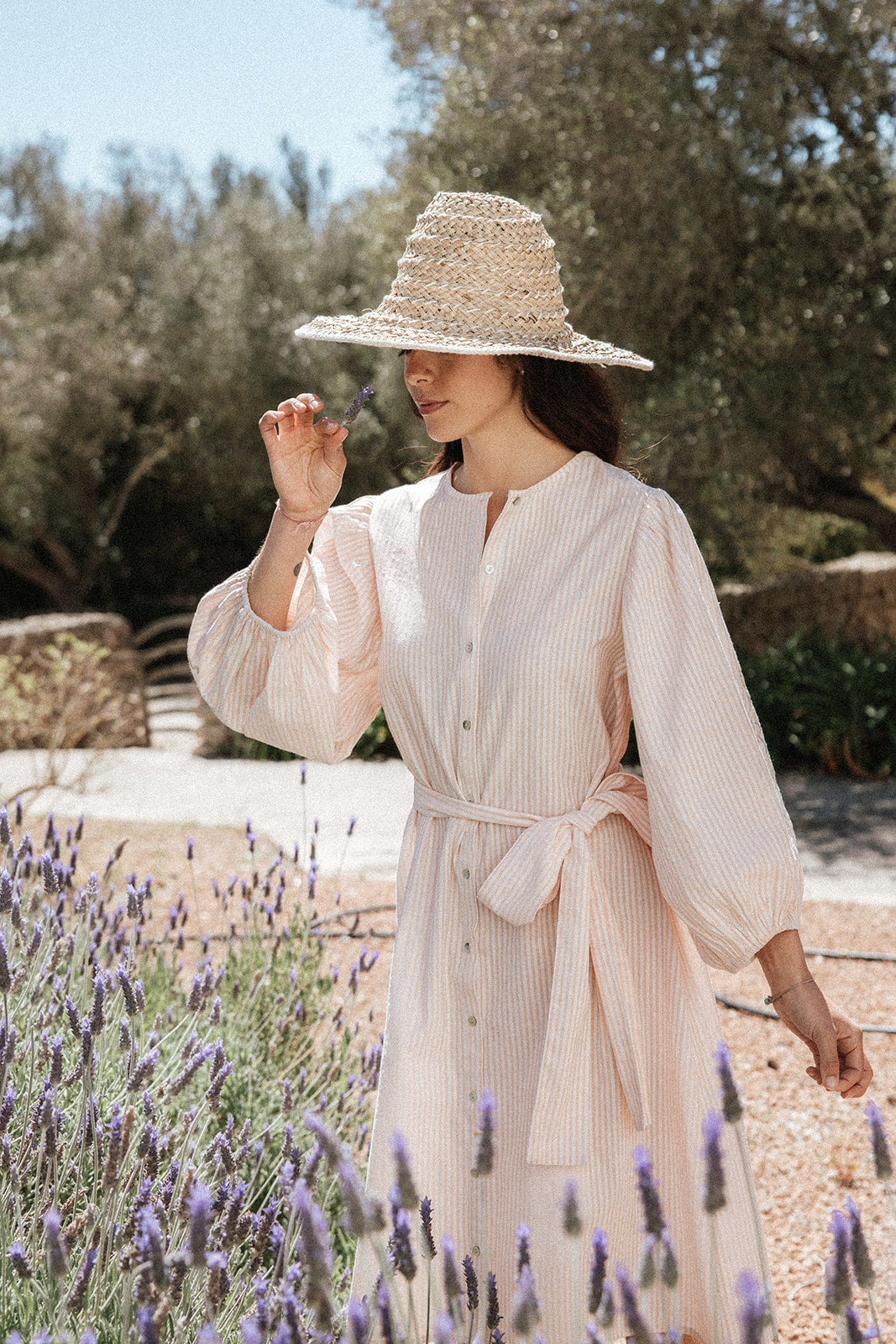 Bella Shirt Dress - Stripe