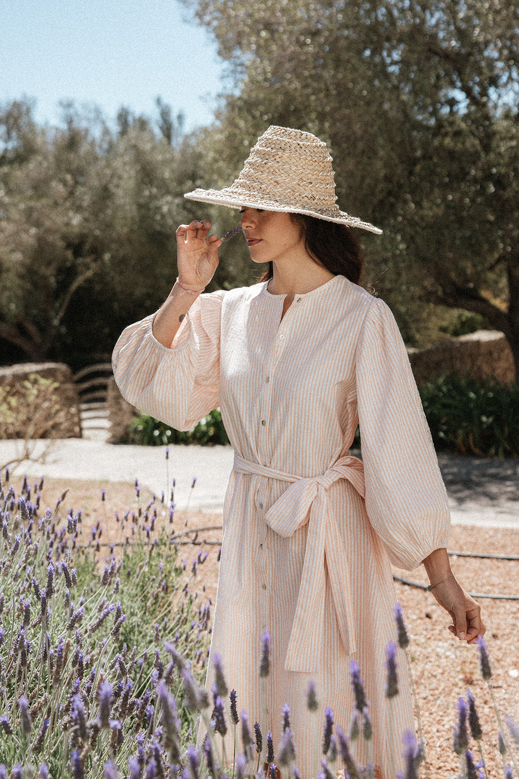 Bella Shirt Dress - Stripe