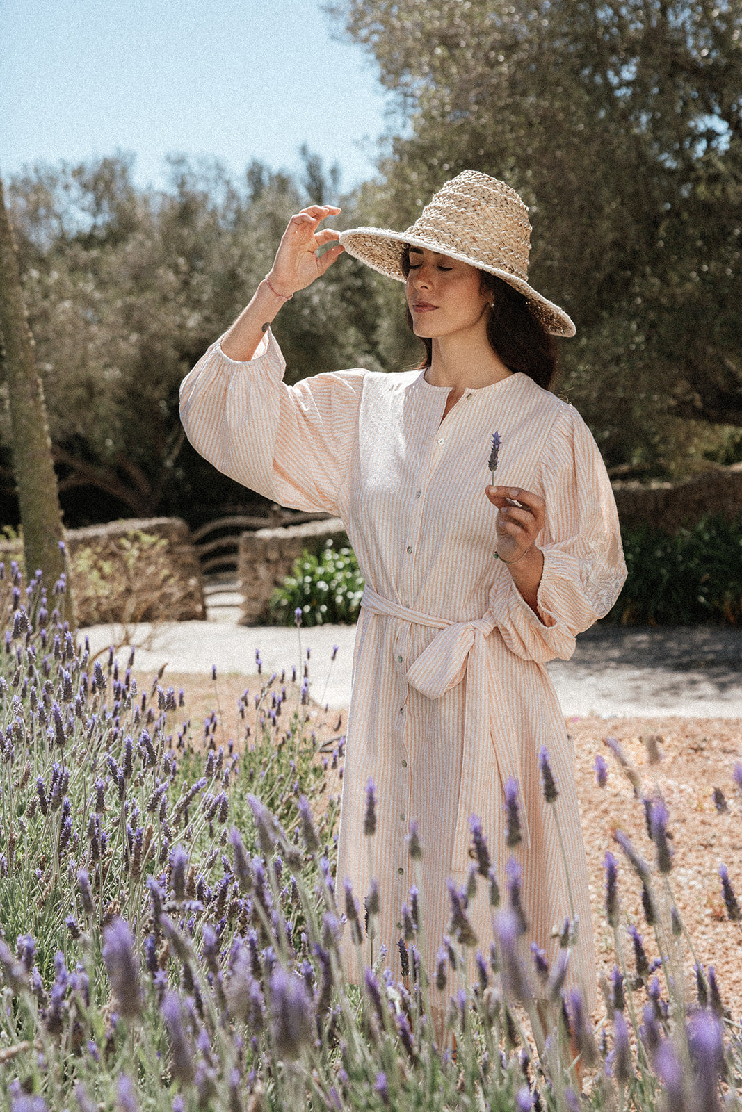 Bella Shirt Dress - Stripe