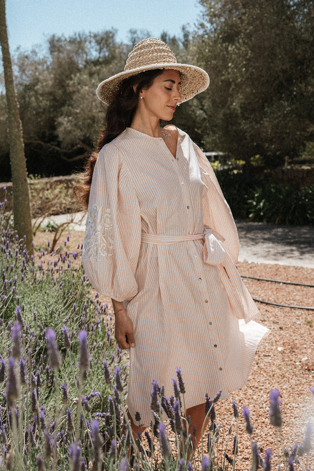 Bella Shirt Dress - Stripe