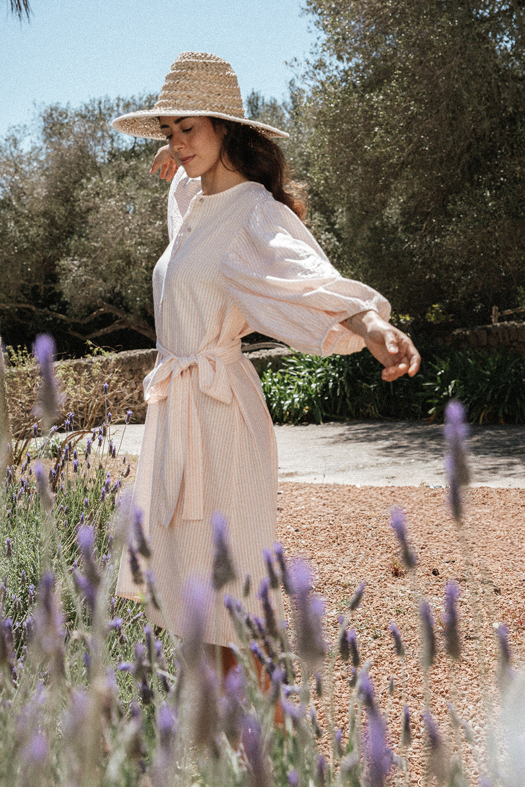Bella Shirt Dress - Stripe